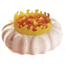 Entremet Silicone Mould - Patal