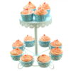 Vintage Cake and Cupcake Stand - 2 Tier